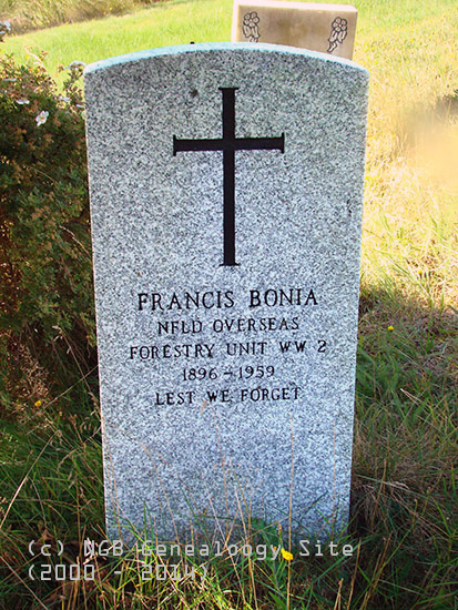 Francis Bonia