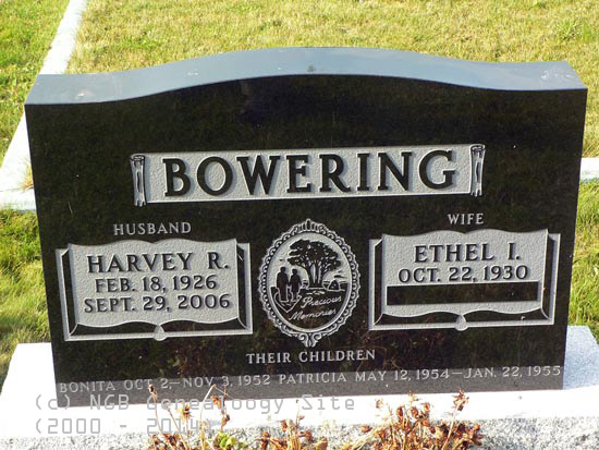 Harvey Bowering