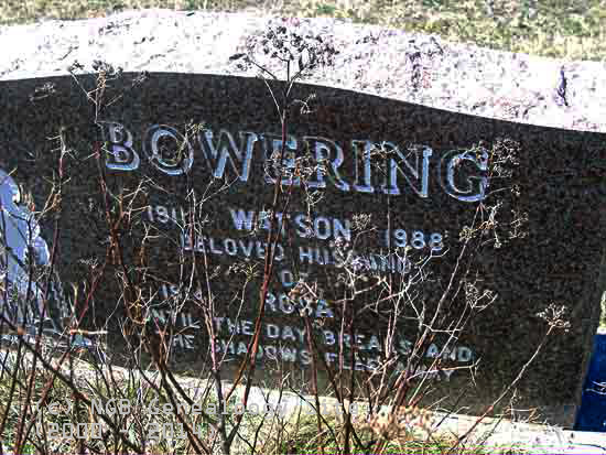 Watson Boiwering