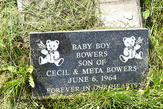 Baby Boy Bowers