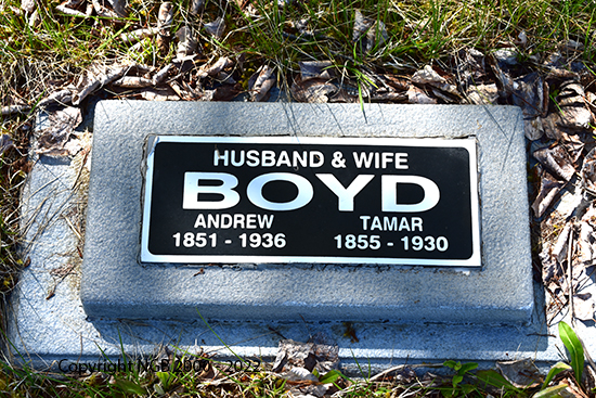 Andresw & Tamar Boyd