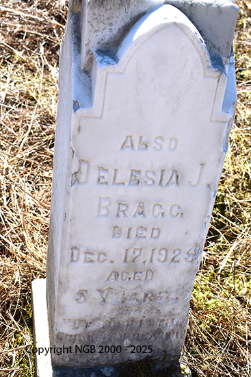 Delesia J. Bragg