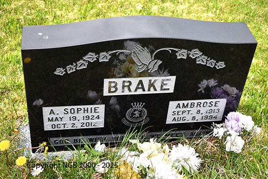 Ambrose & A. Sophie Brake