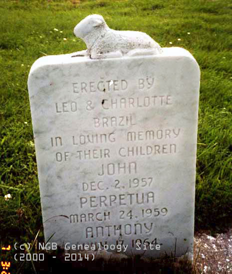 John, Perpetua, and Anthony BRAZIL