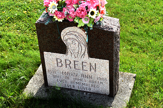 Mary Ann breen