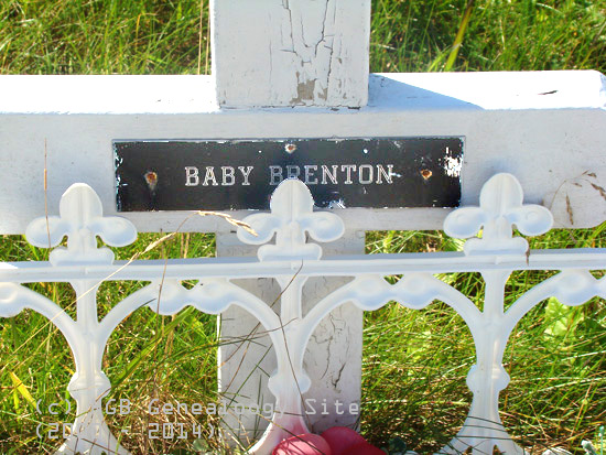 Baby Brenton