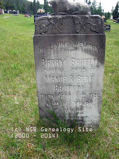 Barry Briffett