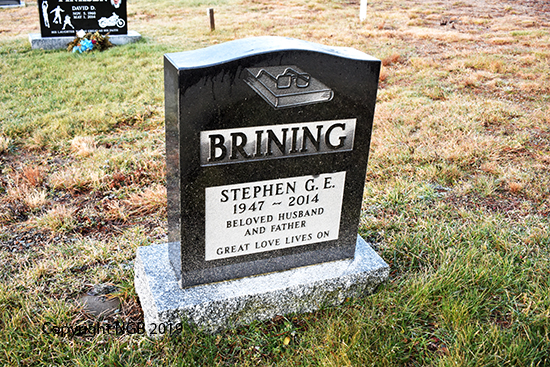 Stephen G. E. Brining