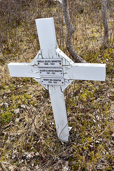 Amelia, Allison & Robert Brinston