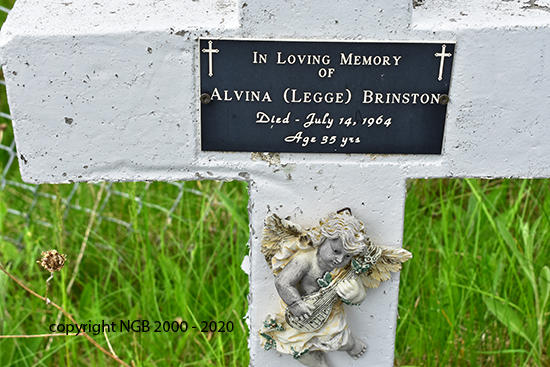 George & Alvina Brinston