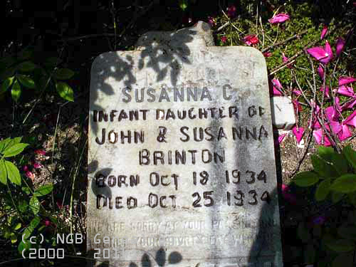 Susanna C. Brinton