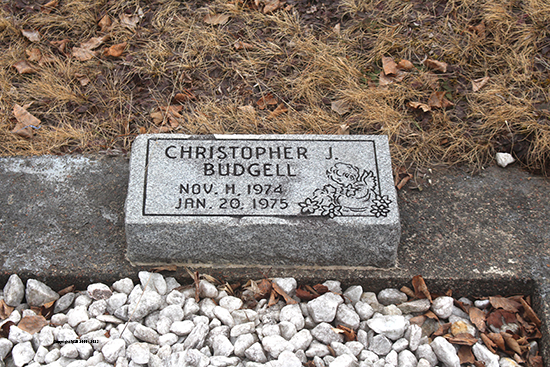 Christopher J. Budgell
