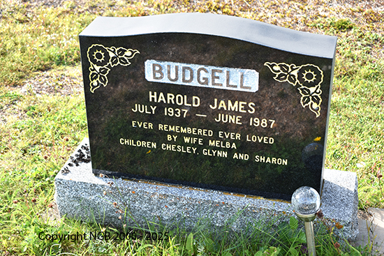 Harold James Budgell