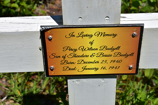 Percy Wilson Budgell