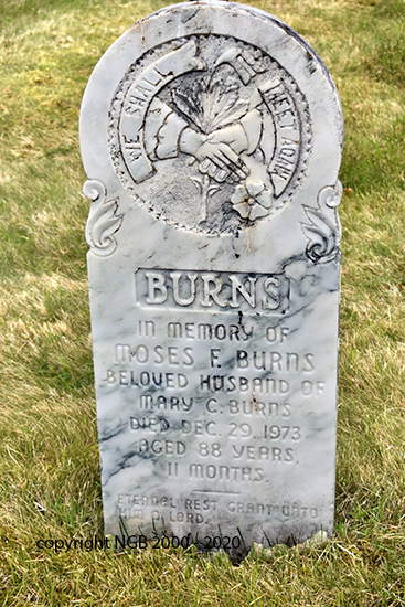 Moses F. Burns