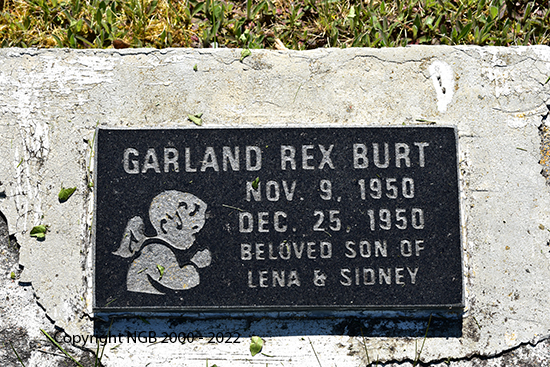 Garland Rex Burt