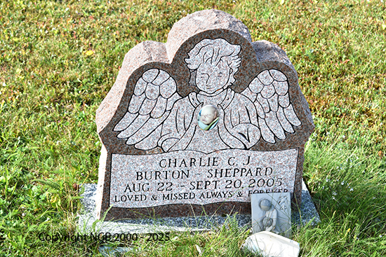 Charlie C. J. Burton