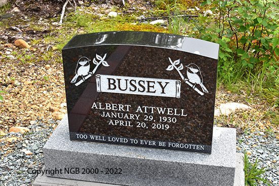 Albert Atwell Bussey