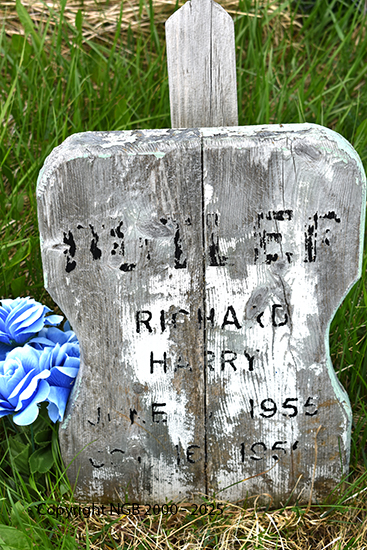 Richard Harry Butler