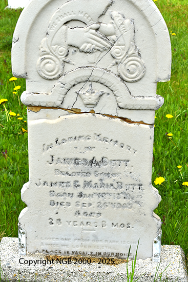 James A. Butt