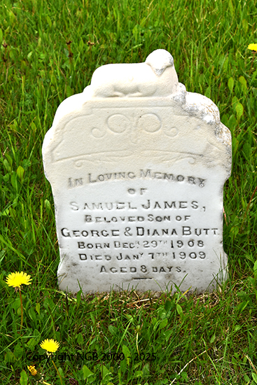 Samuel James Butt