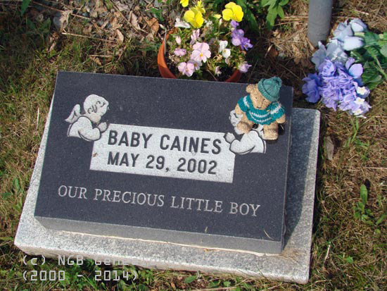 Baby Caines