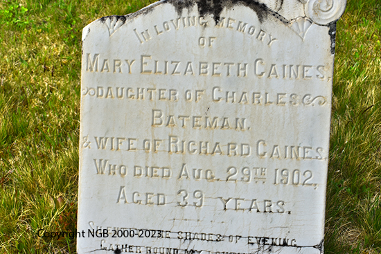 Mary Elizabeth Caines