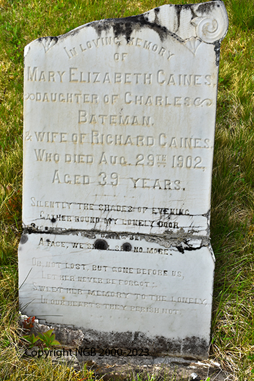 Mary Elizabeth Caines