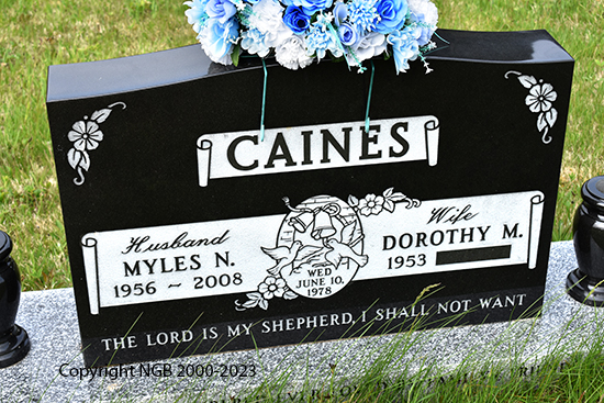 Myles N. Caines