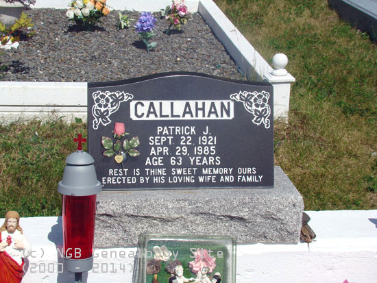 Patrick J. Callahan