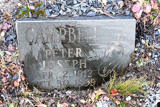 Peter Joseph Campbell