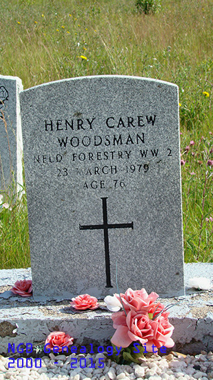 Henry Carew