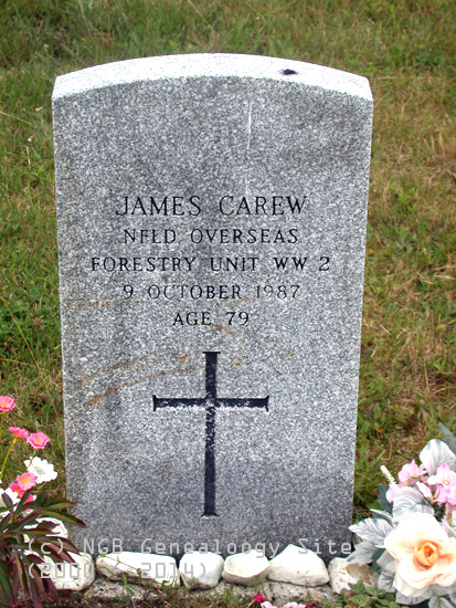 James Carew