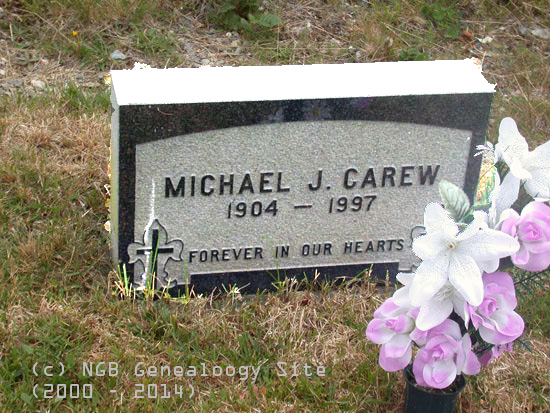 Michael J. Carew