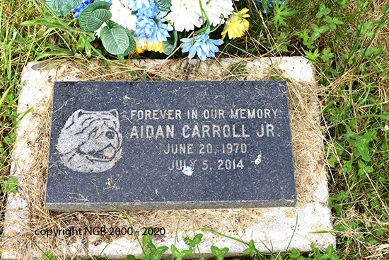 Aiden CArroll Jr.