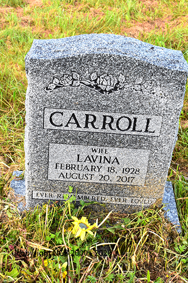 Lavina Carroll