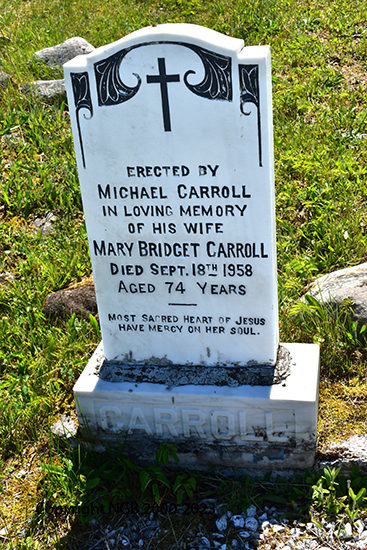 Mary Bridget Carroll