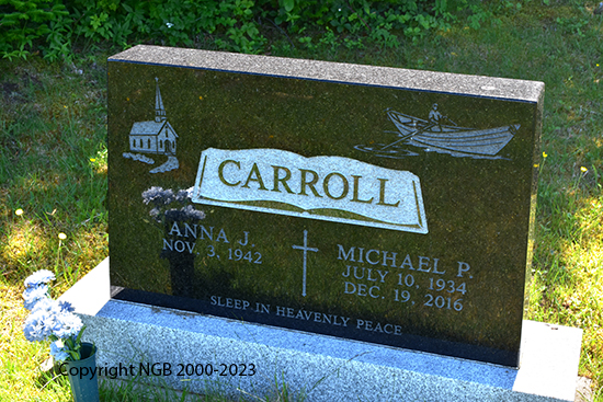 Michael P. Carroll