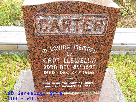 Capt. Llewelyn Carter