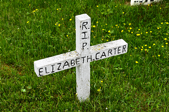 Elizabeth Carter