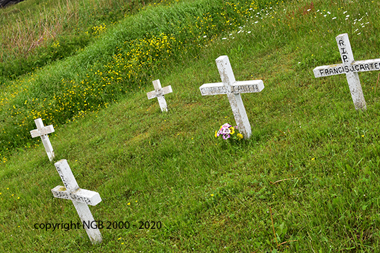 Carter Family Plot