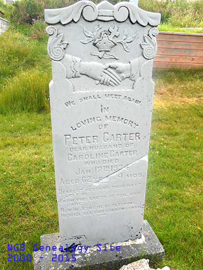 Peter Carter