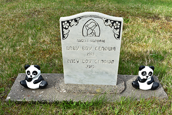 Two Baby Boys Cenowa