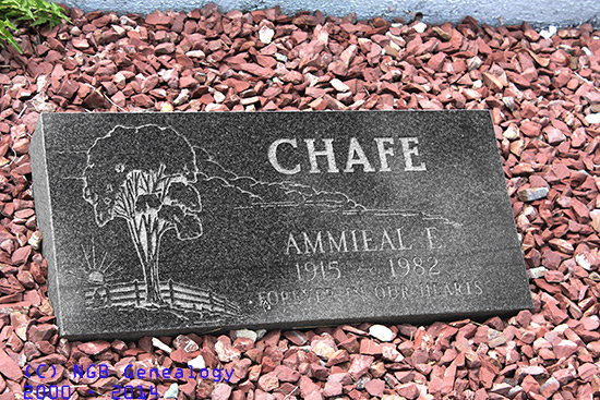 Ammieal E. Chafe