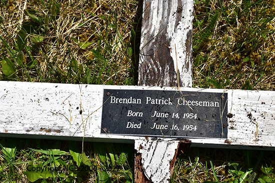 Brendan Patrick Cheeseman