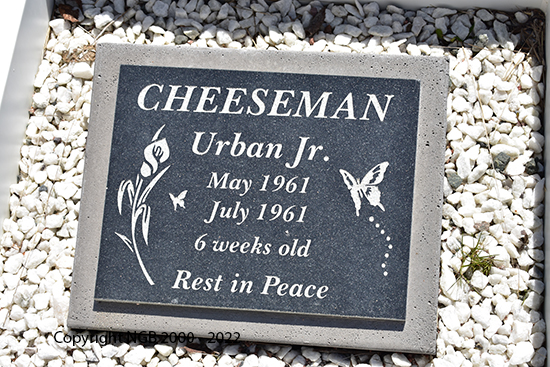 Urban Cheeseman Jr.