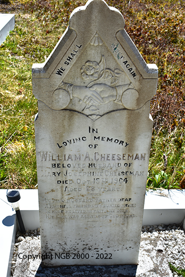 William A. Cheeseman