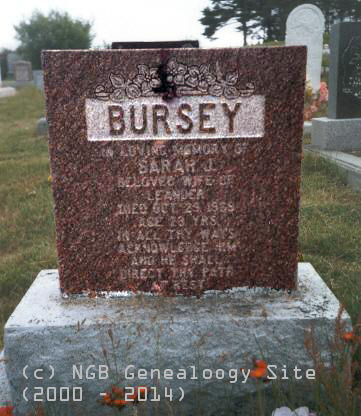 Leander Bursey