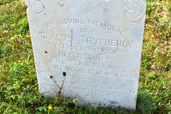 Gladys Tryphenia 