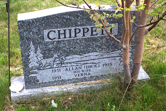 Allan Chippett